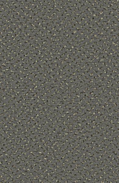 Rechteckbild vom Alexis